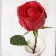 Схема вышивки «2»