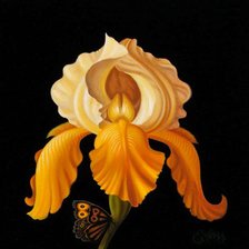 Схема вышивки «№223695»