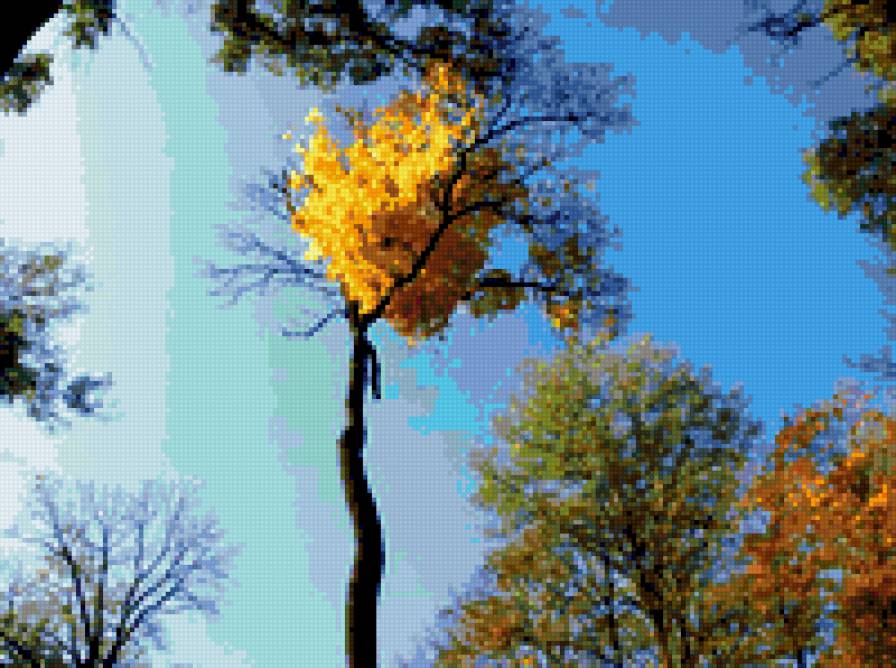 осень - осень, осеннее небо, осенний день - предпросмотр