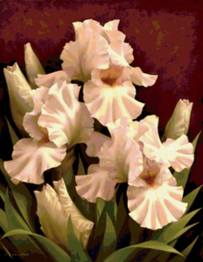 №223718 - предпросмотр