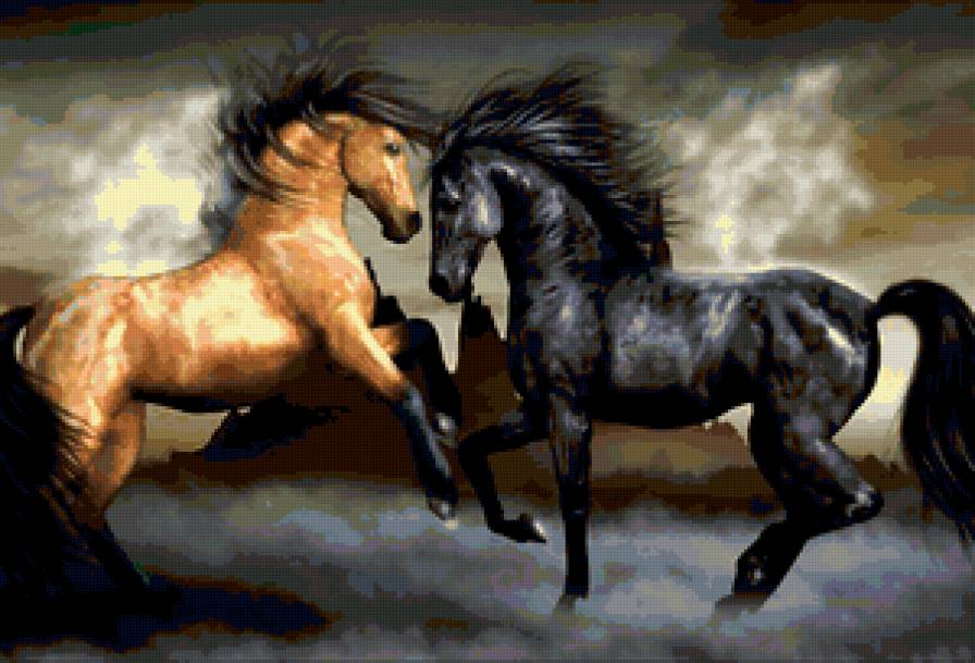 Лошади - конь, лошадь - предпросмотр