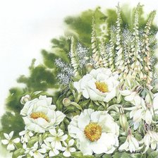 Схема вышивки «Цветы»