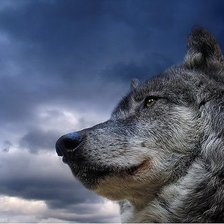 Схема вышивки «001»