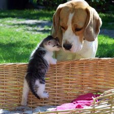 Схема вышивки «Друзья»