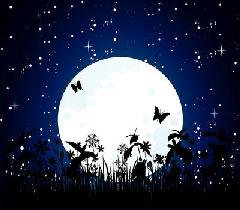 Лунный свет - бабочки, ночь - оригинал