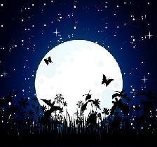 Лунный свет