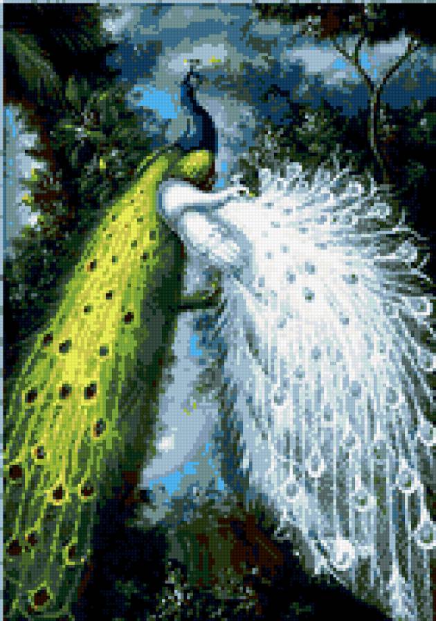 два павлина - предпросмотр