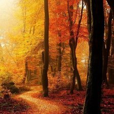 Схема вышивки «№223993»