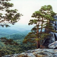 Пейзаж, лес, горы