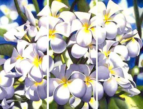 Триптих цветов    (общий вид) - букет, полиптих, романтика, триптих, диптих, цветы - оригинал