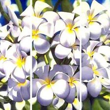 Схема вышивки «Триптих цветов    (общий вид)»