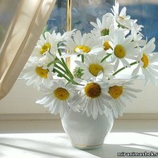 Схема вышивки «Ромашки»