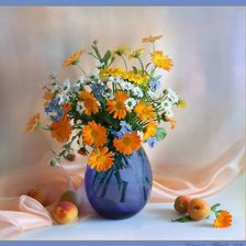 Схема вышивки «ноготки»