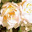 Предпросмотр схемы вышивки «натюрморт» (№224157)