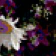 Предпросмотр схемы вышивки «ромашки» (№224173)