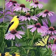 Схема вышивки «№224286»