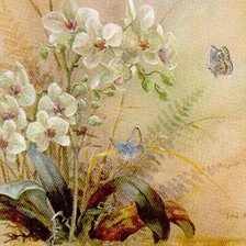 Схема вышивки «Орхидеи и бабочки»