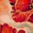 Предпросмотр схемы вышивки «Маки» (№224306)