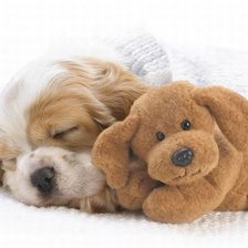 Схема вышивки «007»