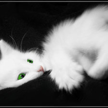 Схема вышивки «киса»