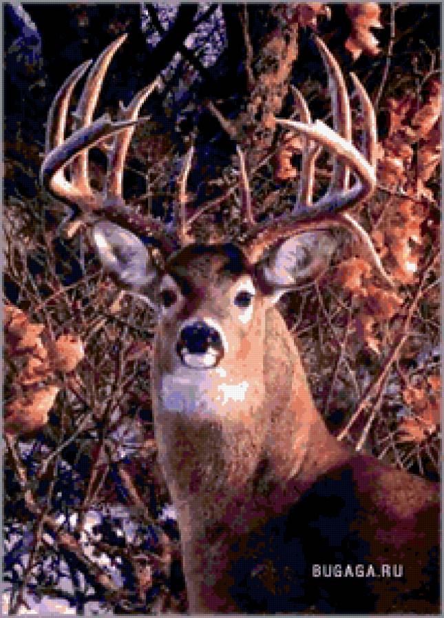 олень - животные, олени, олененок, природа - предпросмотр