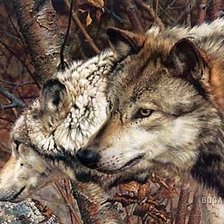 Схема вышивки «волки»