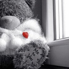 Схема вышивки «черно-белое»