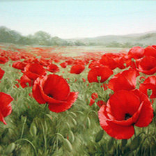 Схема вышивки «Маковое поле»