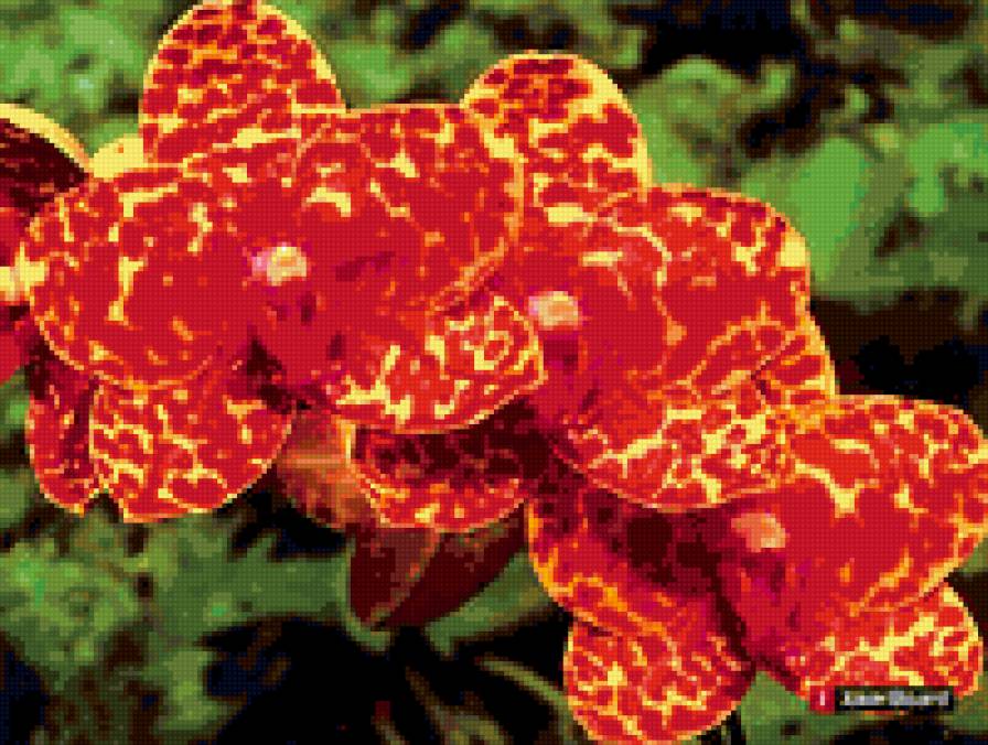 №224614 - предпросмотр