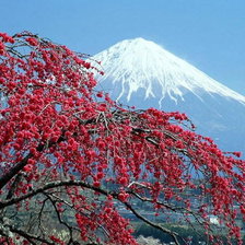 Схема вышивки «пейзаж»