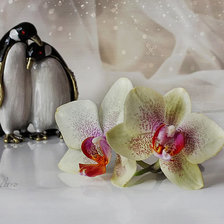 Схема вышивки «НАТЮРМОРТ»