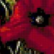 Предпросмотр схемы вышивки «Маки» (№224693)