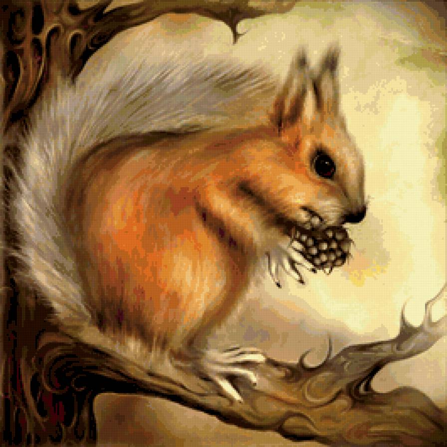 Белочка. Красивая) - белка - предпросмотр