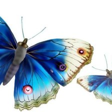 Схема вышивки «Бабочки»