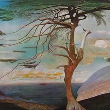 Схема вышивки «Magányos cédrus»