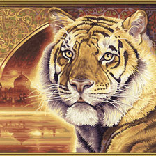 Схема вышивки «tigris2»