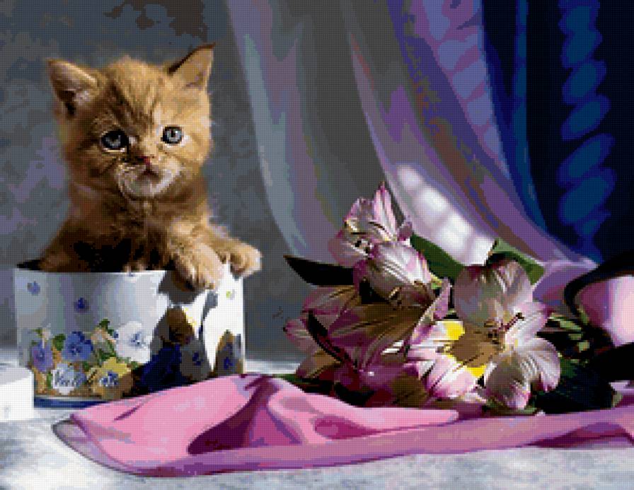 рыжик в коробке - котенок, милашка, цветы, кошка, животнве - предпросмотр