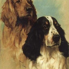 Схема вышивки «kutyák»