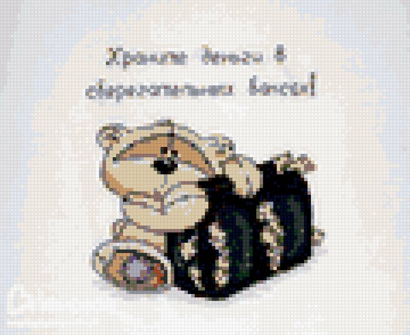 тедди и баксы - деньги, мишка, тедди - предпросмотр