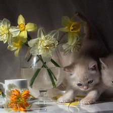 Схема вышивки «пушистики»