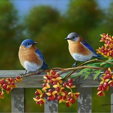 Схема вышивки «№225156»