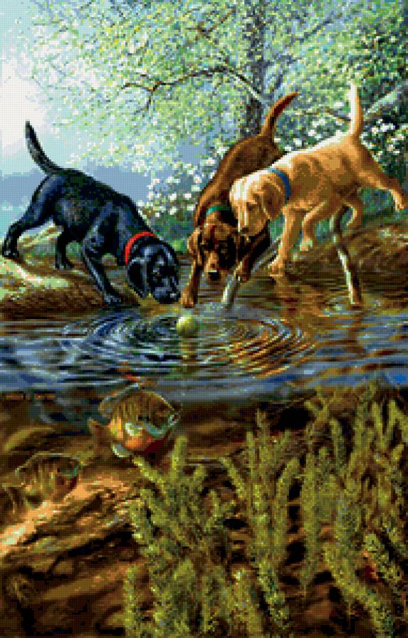 №225161 - пруд, рыбы, собаки - предпросмотр