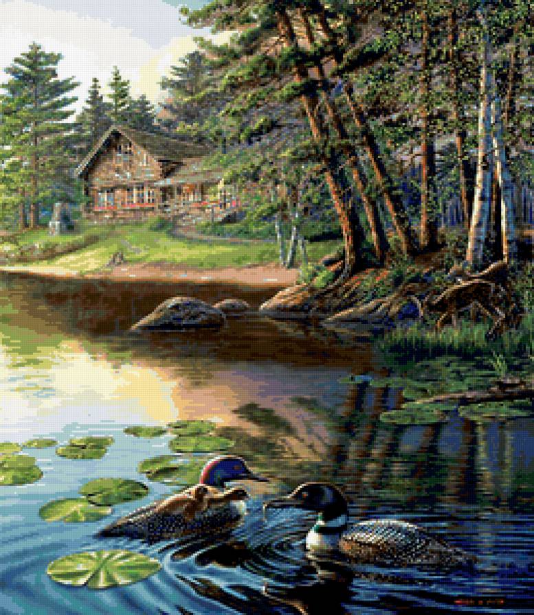 №225162 - лес, утки, пруд - предпросмотр