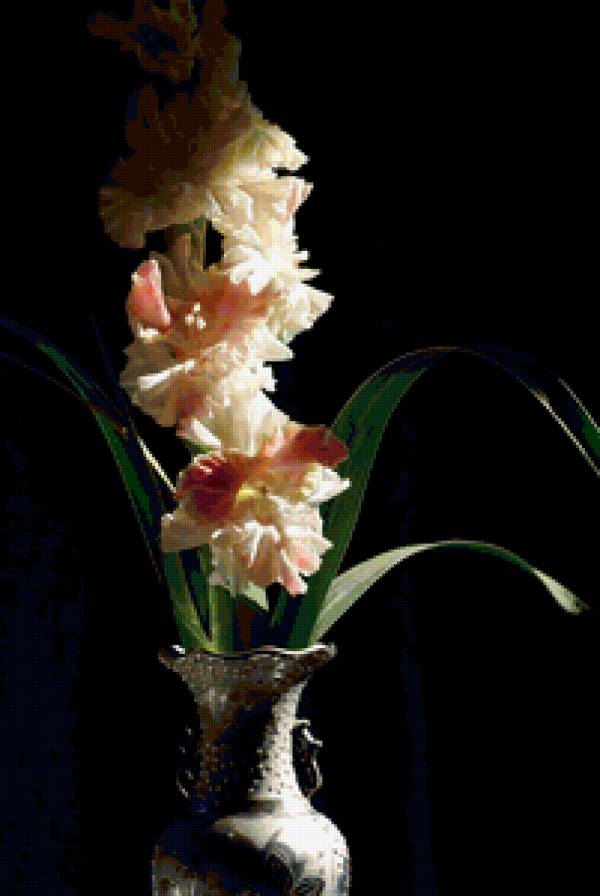 Гладиолус - ваза, букет, цветы - предпросмотр