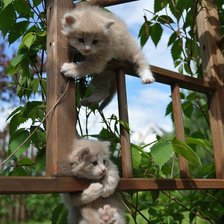 Схема вышивки «игра на окне»