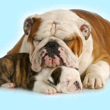 Схема вышивки «Мама и детя»