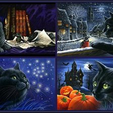 ДИПТИХ   КОШКИ