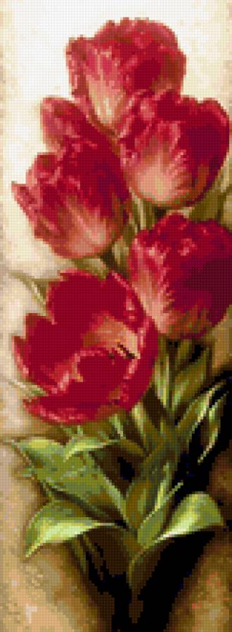 Tulipán - предпросмотр