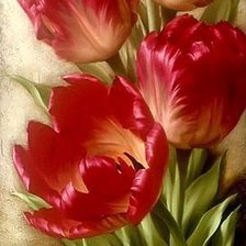 Схема вышивки «Tulipán»