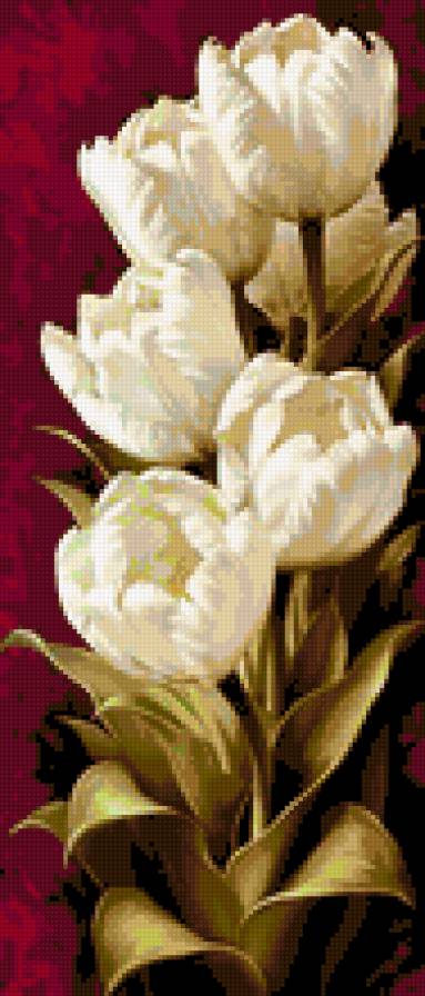 Tulipán - предпросмотр